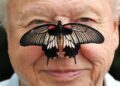 DAVID ATTENBOROUGH – Ambassador for Nature