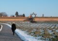German Embassy Visits Terezín Memorial to Honor Holocaust Victims